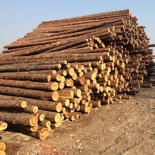 1465183947502180.jpg 20151230163605-820868880.jpg